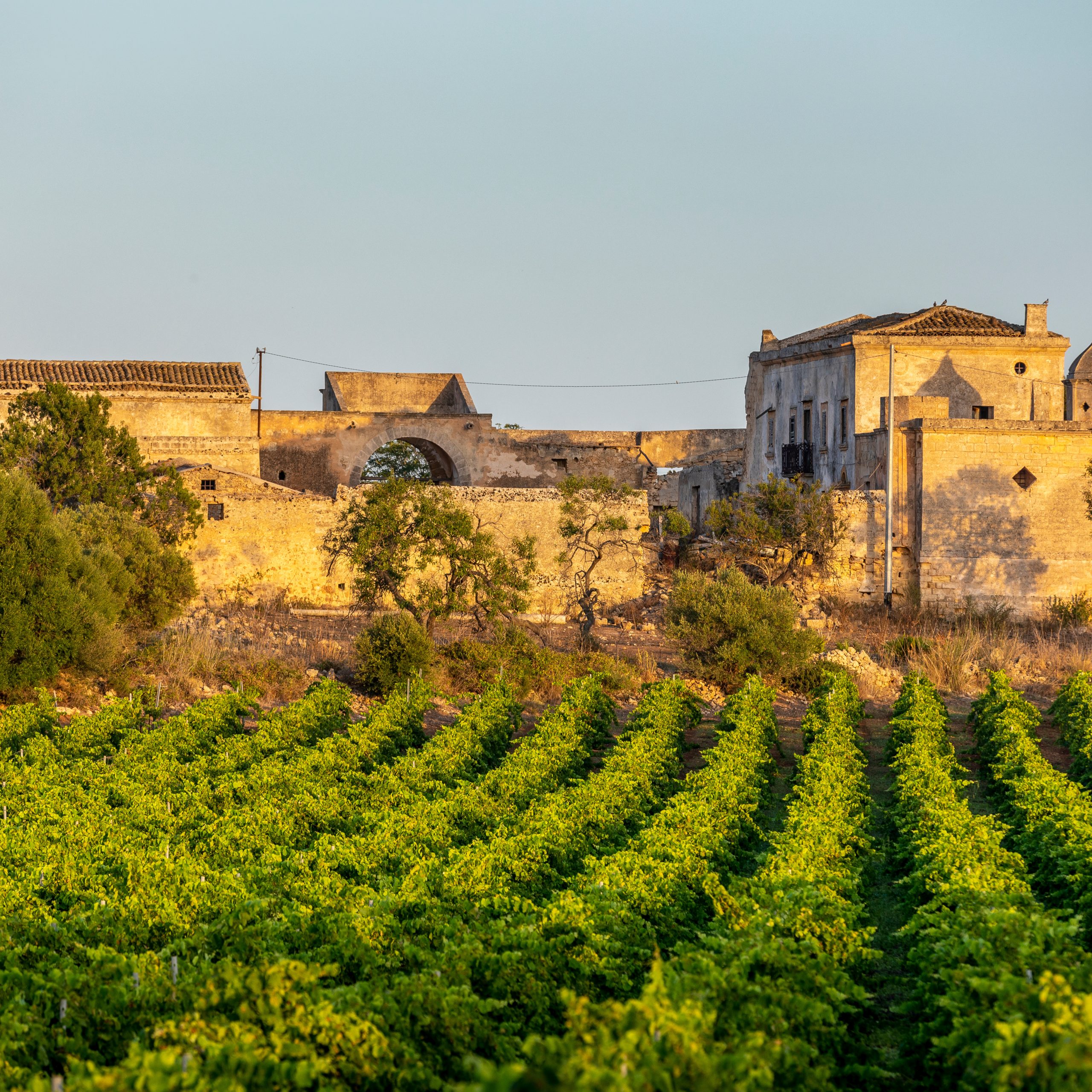 Day 9 – Tuesday, January 26: Marsala