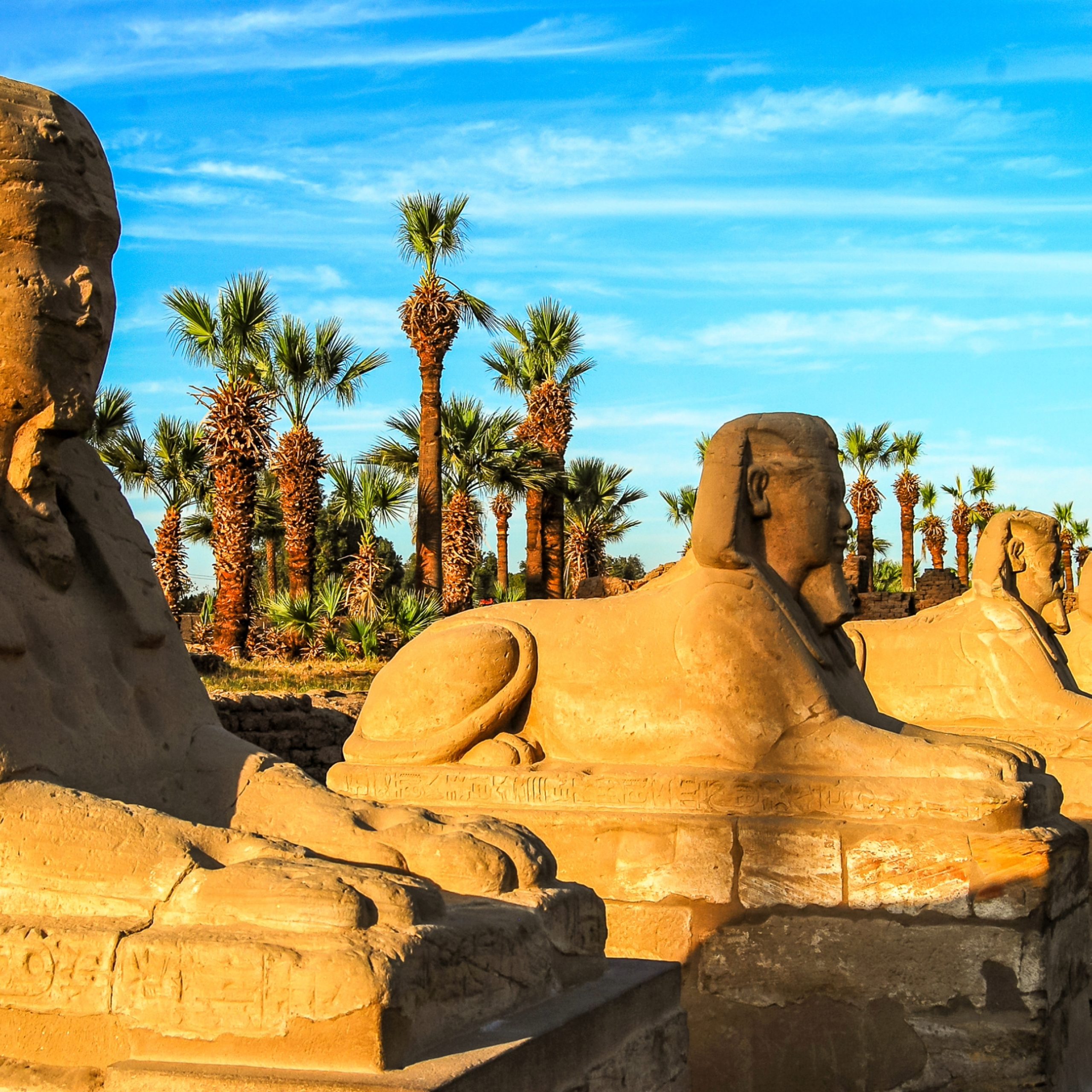 Day 5 – Monday, October 18: Cairo to Luxor 
